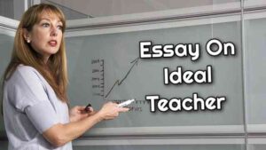 Essay On ideal teacher 