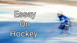 Essay On Hockey