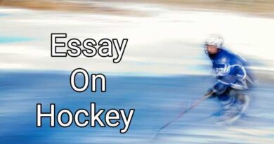 Essay On Hockey