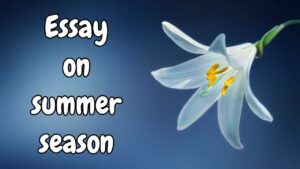 Essay on summer season