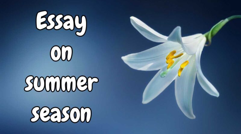 Essay on summer season